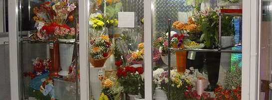 холодильные камеры витрины для цветов